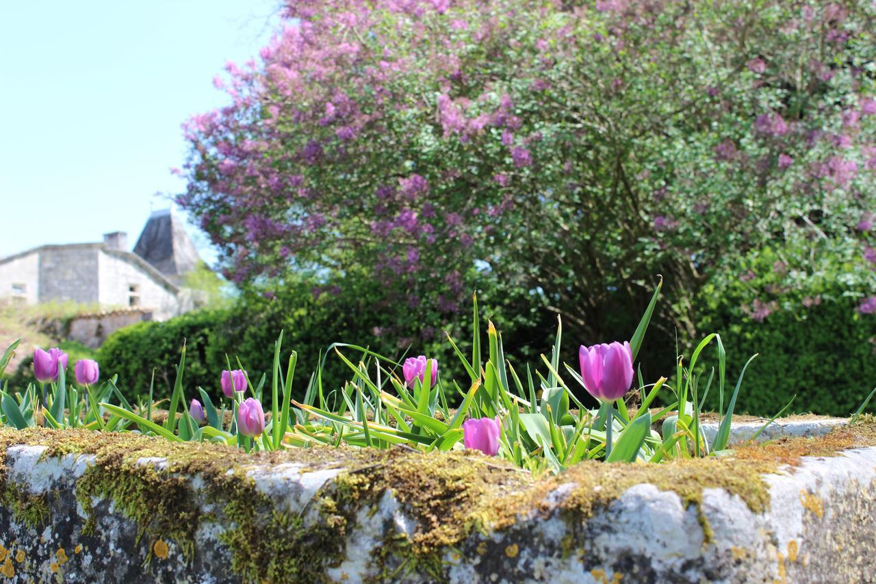 Chateau De Sers Sers (Charente) Exterior photo